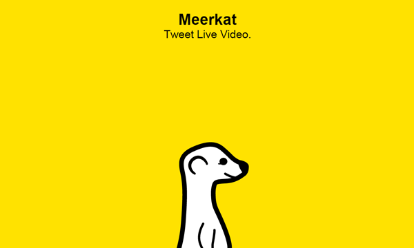 Meerkat
